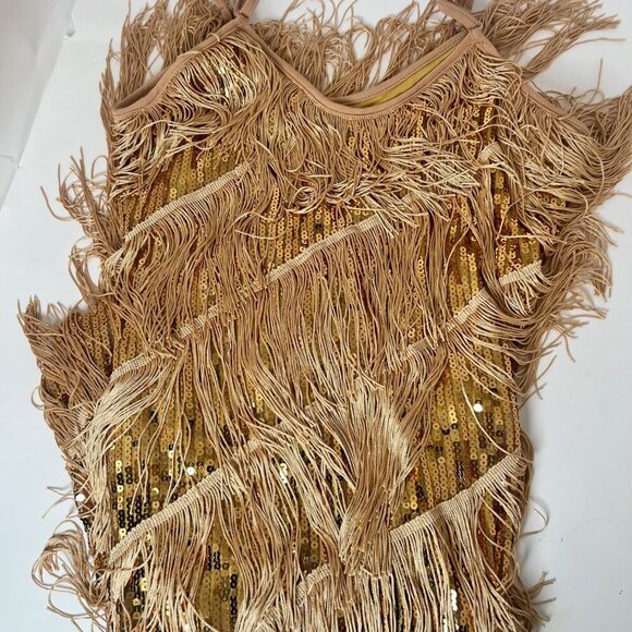 Women Sequins Fringe Dress Flapper Latin Dance Costume Size Medium - Picture 2 of 10